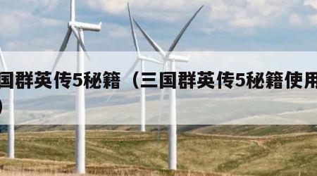 三国群英传5秘籍（三国群英传5秘籍使用教程）