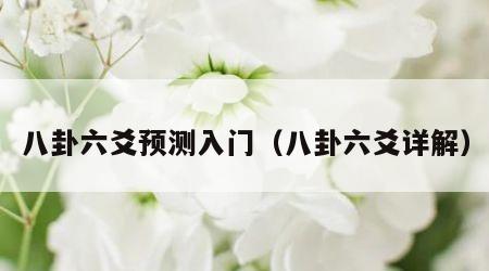 八卦六爻预测入门（八卦六爻详解）