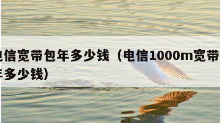 电信宽带包年多少钱（电信1000m宽带一年多少钱）