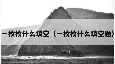 一枚枚什么填空（一枚枚什么填空题）