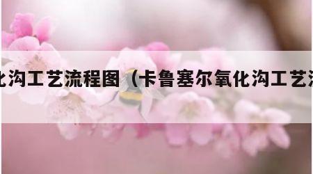 氧化沟工艺流程图（卡鲁塞尔氧化沟工艺流程图）