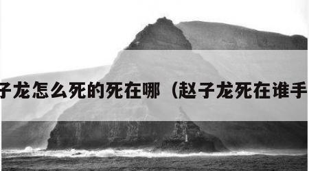 赵子龙怎么死的死在哪（赵子龙死在谁手里）
