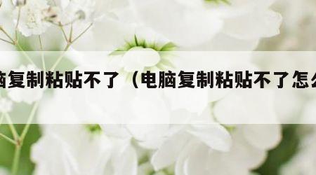 电脑复制粘贴不了（电脑复制粘贴不了怎么操作）