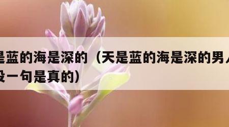 天是蓝的海是深的（天是蓝的海是深的男人的话没一句是真的）
