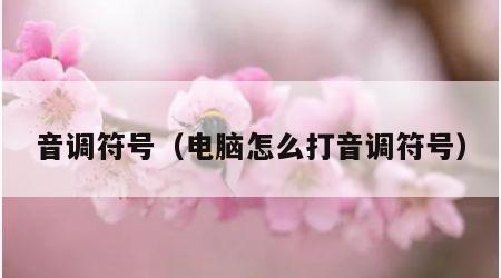 音调符号（电脑怎么打音调符号）