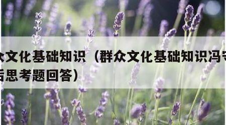 群众文化基础知识（群众文化基础知识冯守仁课后思考题回答）