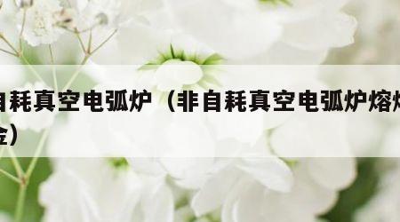 非自耗真空电弧炉（非自耗真空电弧炉熔炼钛合金）