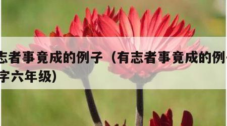 有志者事竟成的例子（有志者事竟成的例子200字六年级）