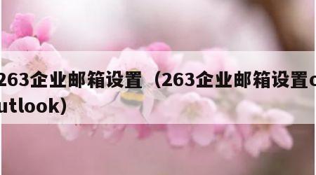 263企业邮箱设置（263企业邮箱设置outlook）