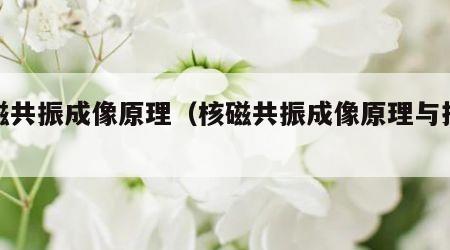 核磁共振成像原理（核磁共振成像原理与技术）