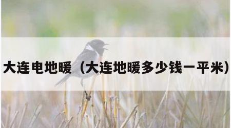 大连电地暖（大连地暖多少钱一平米）