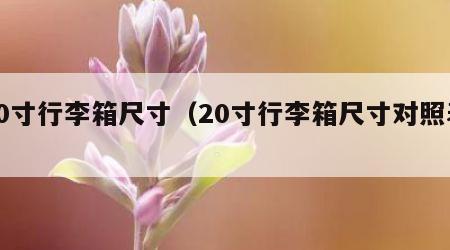 20寸行李箱尺寸（20寸行李箱尺寸对照表）