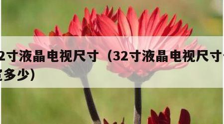 32寸液晶电视尺寸（32寸液晶电视尺寸长宽多少）