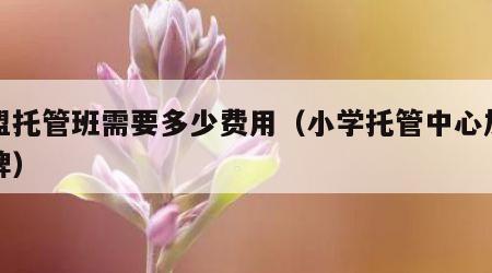 加盟托管班需要多少费用（小学托管中心加盟品牌）