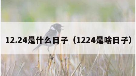 12.24是什么日子（1224是啥日子）
