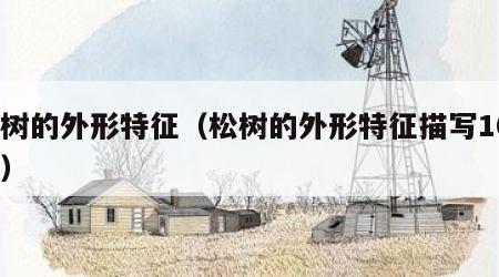 松树的外形特征（松树的外形特征描写100字）