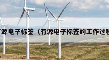 有源电子标签（有源电子标签的工作过程）