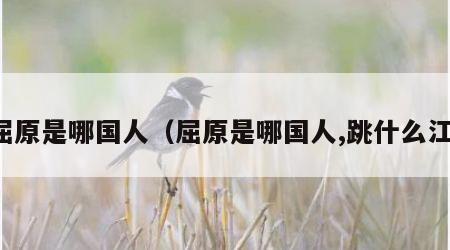 屈原是哪国人（屈原是哪国人,跳什么江）