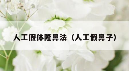 人工假体隆鼻法（人工假鼻子）