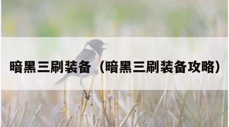 暗黑三刷装备（暗黑三刷装备攻略）