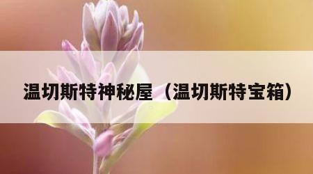 温切斯特神秘屋（温切斯特宝箱）