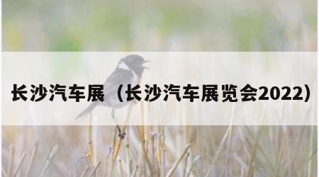 长沙汽车展（长沙汽车展览会2022）