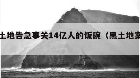 黑土地告急事关14亿人的饭碗（黑土地案件）