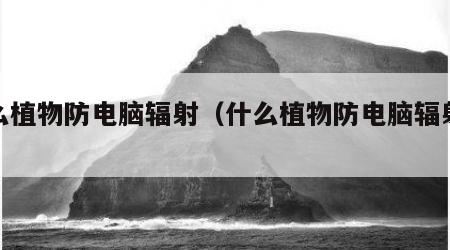 什么植物防电脑辐射（什么植物防电脑辐射好）