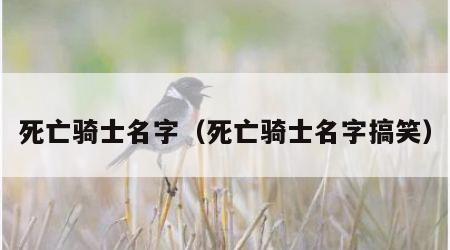 死亡骑士名字（死亡骑士名字搞笑）