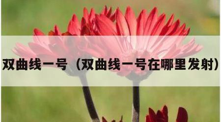 双曲线一号（双曲线一号在哪里发射）