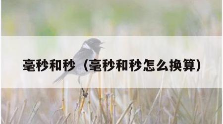 毫秒和秒（毫秒和秒怎么换算）