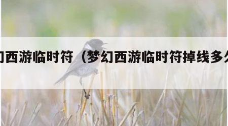 梦幻西游临时符（梦幻西游临时符掉线多久消失）