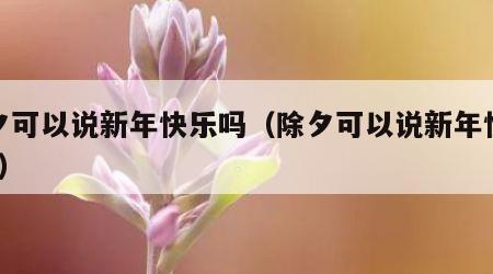 除夕可以说新年快乐吗（除夕可以说新年快乐吗?）