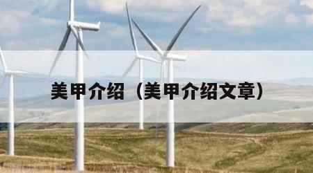 美甲介绍（美甲介绍文章）