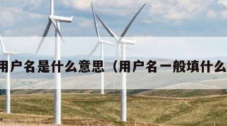 用户名是什么意思（用户名一般填什么）