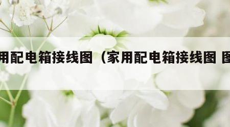 家用配电箱接线图（家用配电箱接线图 图解）