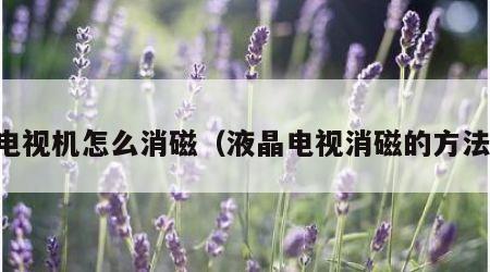电视机怎么消磁（液晶电视消磁的方法）