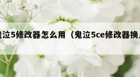 鬼泣5修改器怎么用（鬼泣5ce修改器换人）