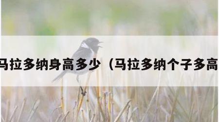 马拉多纳身高多少（马拉多纳个子多高）