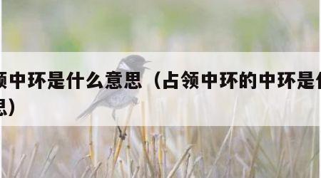 占领中环是什么意思（占领中环的中环是什么意思）