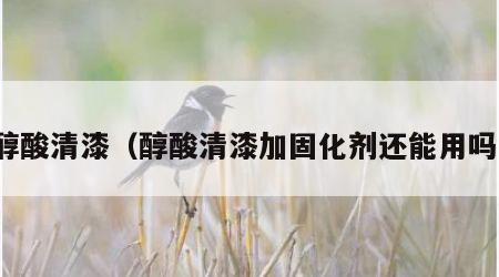 醇酸清漆（醇酸清漆加固化剂还能用吗）