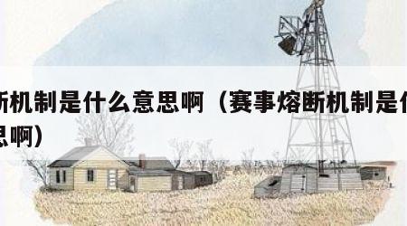 熔断机制是什么意思啊（赛事熔断机制是什么意思啊）