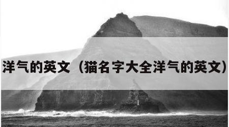 洋气的英文（猫名字大全洋气的英文）