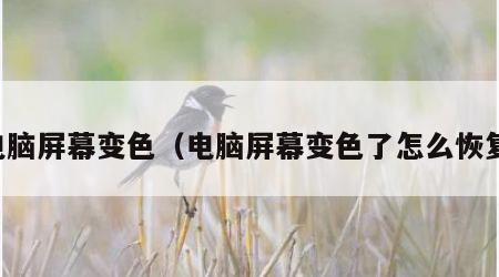 电脑屏幕变色（电脑屏幕变色了怎么恢复）