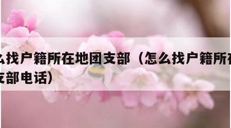 怎么找户籍所在地团支部（怎么找户籍所在地团支部电话）