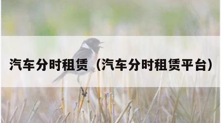 汽车分时租赁（汽车分时租赁平台）