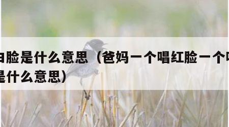 唱白脸是什么意思（爸妈一个唱红脸一个唱白脸是什么意思）