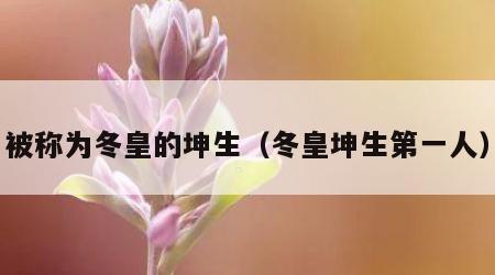 被称为冬皇的坤生（冬皇坤生第一人）