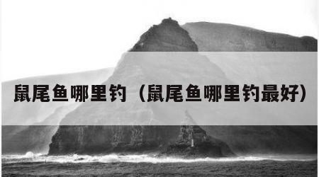 鼠尾鱼哪里钓（鼠尾鱼哪里钓最好）