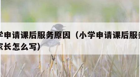 小学申请课后服务原因（小学申请课后服务原因家长怎么写）